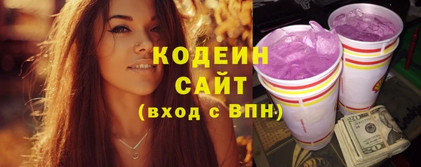 ПСИЛОЦИБИНОВЫЕ ГРИБЫ Арсеньев