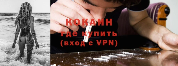 ПСИЛОЦИБИНОВЫЕ ГРИБЫ Арсеньев