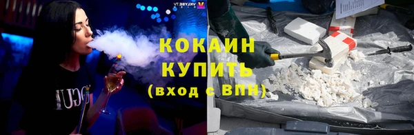 ПСИЛОЦИБИНОВЫЕ ГРИБЫ Арсеньев