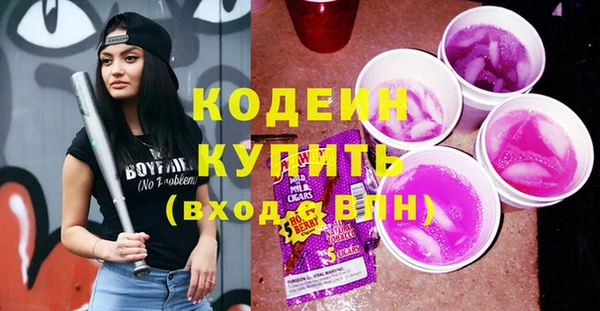 ПСИЛОЦИБИНОВЫЕ ГРИБЫ Арсеньев